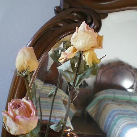 Affittacamere Casa Ariodante Perugia